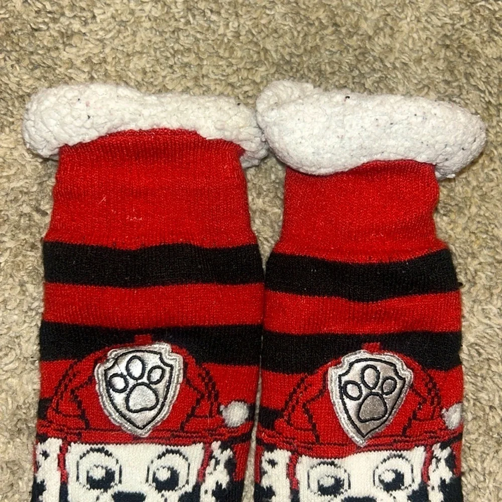 Paw Patrol Marshall shocks